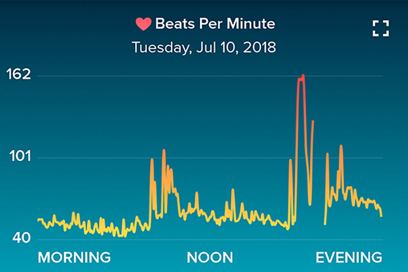 What Affects Your Heart Rate?